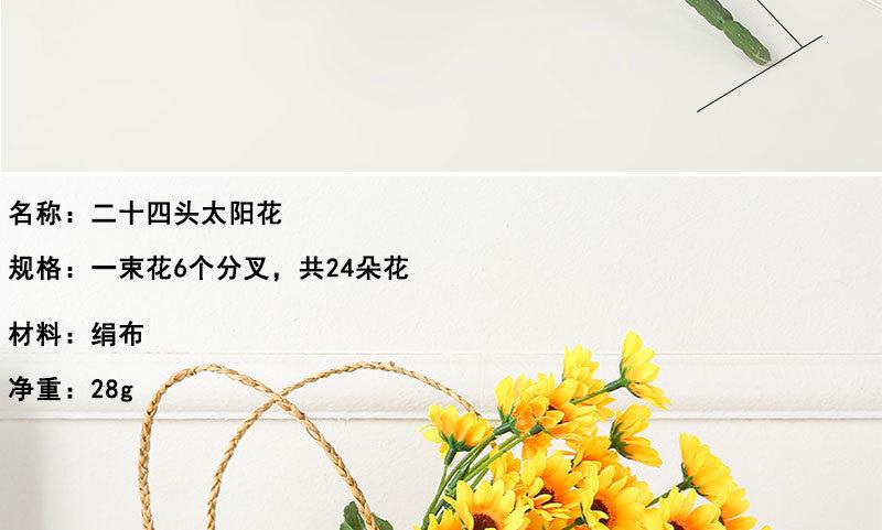 二十四头太阳花_04