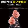 Wuhan Yuantian Deng Gang Pesca de Boia Carpa Prateada e Carpa Cabeçuda Segunda Geração Isca para Peixe Pesca Selvagem Cabeçuda Prateada Gorducha Carpa Prateada Loja Oficial Principal