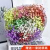 Yunnan Kunming Dounan Céu Estrelado flores secas naturais pesando Jin vendendo buquê grande de sala de estar fresca para decoração de casa frete grátis