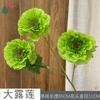Flor Verde de 26 Anos Material Floresta Casamento na Floresta Casamento ao Ar Livre Flor Artificial Arranjo de Flores para Janela de Fotos Parede de Flores
