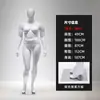 Maniquíes Femeninos Tallas Grandes para Tienda de Ropa, Modelo de Exhibición de Escaparate de Cuerpo Completo, Soporte de Exhibición de Modelo de Mujer Gorda