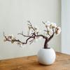 Galhos de Flor de Ameixeira Simulados, Flores de Pessegueiro, Flores Secas, Bonsai de Flor de Magnólia, Flores Artificiais de Wintersweet para Sala de Estar, Móveis para Casa, Plantas em Vasos para Decoração de Estudo