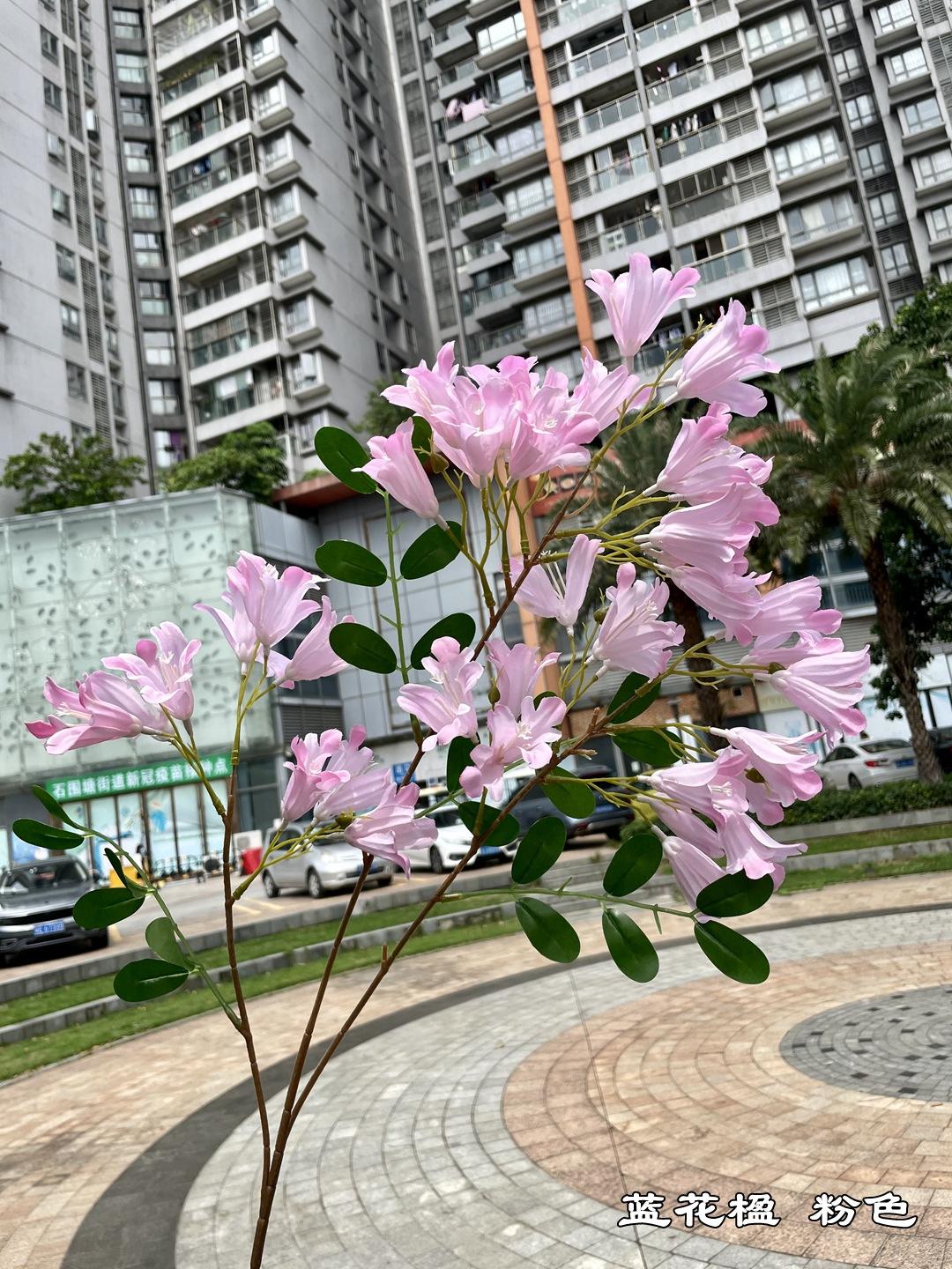 微信图片_20210730114634.jpg