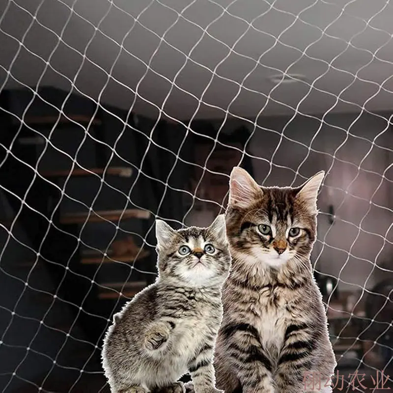 猫网主图七