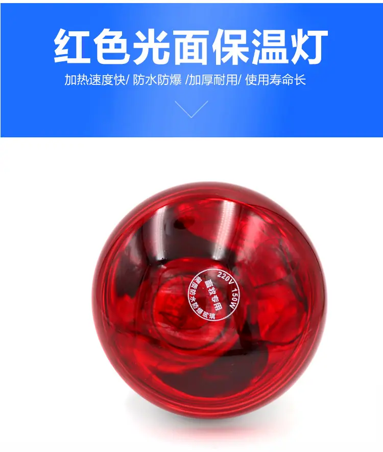 保温灯展示_13