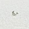 Aretes de Delfín de Aleación de Titanio G23 F-136 Aretes de Cartílago de Ballena Joyería Aretes para Labio Accesorios Joyería de Dibujos Animados