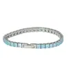 Pulsera de Cadena de Tenis de Acero Inoxidable Estilo Hip-Hop con Circonita Cúbica de Colores, Deslumbrante Pulsera de Joyería de Acero de Titanio, No se Desvanece, Transfronterizo