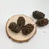 Fatias de Limão Decoração de Natal Acessórios Artesanais DIY Arranjo de Flores Ornamentos Decoração de Casa Pinhas Adereços de Fotografia Cascas de Frutas Secas