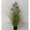 Simulação Reed Artificial Reed Grass Atacado Planta Falsa Shopping Decoração para Casa Cebola Dog Tail Grass Simulação Planta Verde