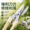 Tijeras de jardinería para recoger fruta, podar ramas, herramientas de recorte de flores, tijeras de podar para plantas en maceta, tijeras de acero inoxidable para árboles frutales domésticos, herramientas de jardinería