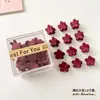 Pinza de Pelo de Princesa para Mujer, Estilo Nuevo de Verano, para Flequillo y Accesorios para el Cabello