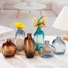 Vaso de Vidro Simples Criativo Luxo Leve Nórdico Flores Hidropônicas Mini Vaso Decoração de Mesa Flores Secas Ornamentos Decorativos