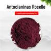 Extrato de Hibisco Antocianina de Hibisco 10% Antocianina de Hibisco 10% Extrato de Hibisco