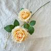 Simulación de flores de 2 rosas transfronterizas, simulación de altura, decoración de bodas, decoración del hogar, accesorios de fotografía al por mayor