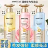 Pantene Champú Espumoso Deep Water Control de Grasa Voluminizador Nutritivo Reparador Antirotura Oferta Mayorista Día de la Mujer