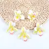 6cm Cabeça de Orquídea Cymbidium Artificial Acessórios de Toque Grampo Lembrança de Casamento Layout de Fundo DIY Arranjo de Flores Fabricante Atacado