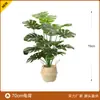 Plantas Verdes Simuladas, Árvores Falsas para Atacado, Vasos de Flores de Plantas Simuladas, Bananeira do Viajante, Folhas de Tartaruga, Figueira Lira, Plantas Verdes para Escritório