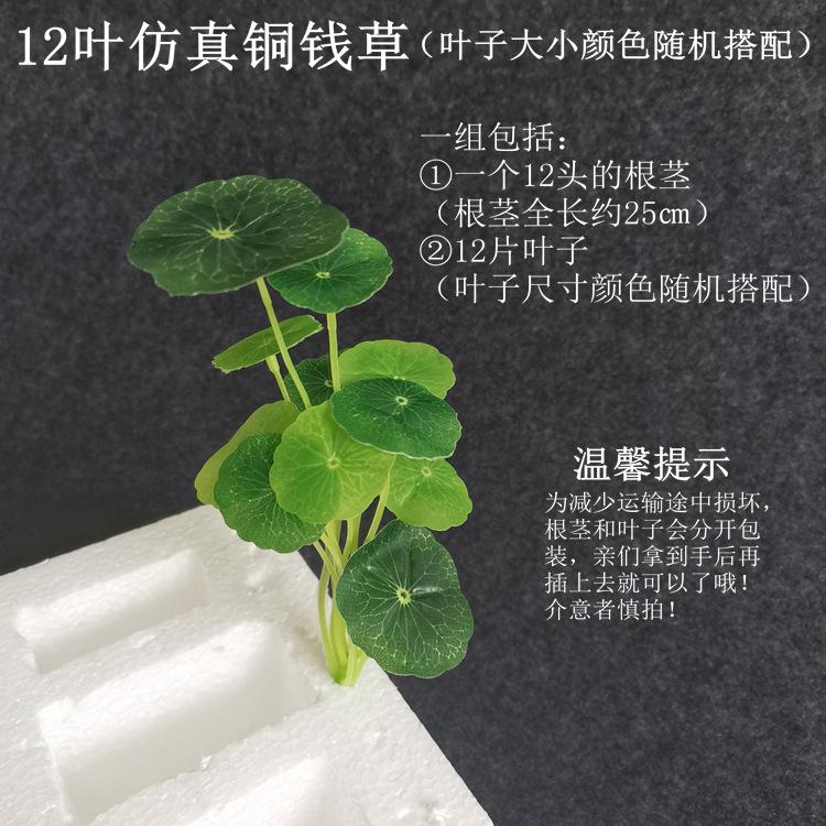 【随机搭配 12叶仿真铜钱草】.jpg