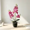 21 Piezas Orquídea Phalaenopsis Artificial Bonsái Oficina Hogar Decoración Flor Falsa Realista Planta en Maceta Arreglo de Escritorio Maceta Pequeña Adorno