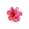 Clip de Frangipani Transfronterizo Europeo y Americano Flor de Bauhinia Clip para el Cabello Accesorios para el Cabello de Flores Populares de Amazon Clip de Tiburón Pequeño y Fresco para Mujer