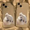 Capa de Celular Cachorro Sonda Adequada para iPhone 17, 16 Pro, Design de Nicho, Cobertura Total Apple 14, 15 Simples Anti-Queda Estilo Cartoon