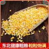 Los sémola de maíz auto-producida por los agricultores del noreste son sémola tradicional de grano medio de grano grueso auténtica de Qiqihar, Heilongjiang.