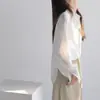 Camisa Profissional de Alta Qualidade para o Dia a Dia de Mulheres, Camisa Elegante de Cetim com Manga Longa e Toque de Design, Blusa de Acetato para Primavera e Outono, Em Estoque