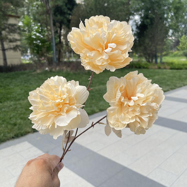 TeHui3大头涂层牡丹-sxzxx-香槟.JPG