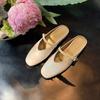 Novo Estilo Francês Estilo Gentil Uma Tira Bico Fechado Boca Rasa Prata Mary Jane Sapatos Femininos com Aumento Oculto de Altura e Solado Grosso
