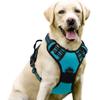 Correa para Perro Amazon Arnés para Mascotas Correa de Nylon para Perro Arnés para Perro Grande Suministros para Mascotas Fábrica Venta al por Mayor