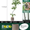 Habitat de folha de glicínia planta verde artificial alto padrão luxo leve interior sala de estar chão árvore falsa biônica planta em vaso