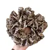 Scrunchie Coreano Dulce y Fresco con Estampado de Leopardo Resistente de Alta Calidad para Cola de Caballo Francesa