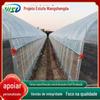 Hainan Film edifício estufa floricultura estufa de colheita de morango estufa de vegetais temperatura solar