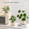 Plantas Verdes Artificiales, Flores Falsas, Flores Artificiales, Plantas Pequeñas de Escritorio en Maceta, Adornos Decorativos, Estanterías, Plantas Verdes Artificiales, Accesorios de Fotografía