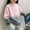 Moletom liso para crianças, estilo primavera e outono, mangas compridas, estilo básico, vestuário infantil, uniforme de jardim de infância, fabricante, em estoque, logo com padrão de impressão