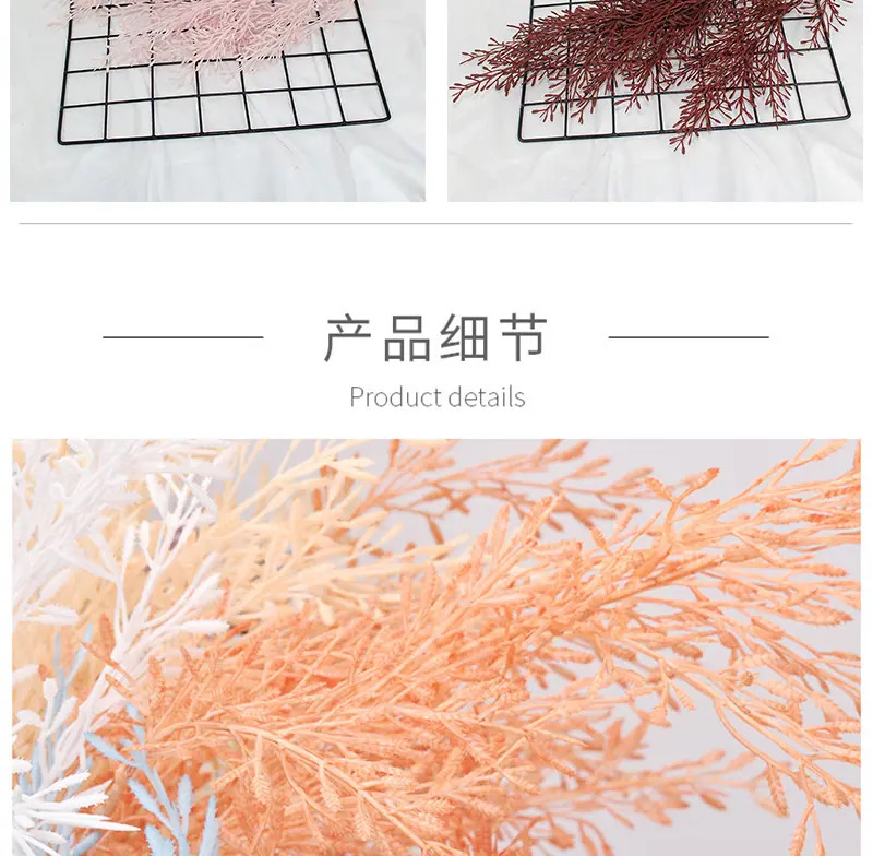 米粒草_08.jpg