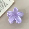 2026 Novo Estilo Transfronteiriço Padrão Mármore Flor Plumeria Presilha de Cabelo Presilha Tubarão Acetato Imitação Presilha de Cabelo para Meio-Rabo Pente de Cabelo Elegante
