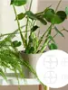 Suporte de Fixação de Raiz de Planta em Acrílico para Evitar Tombamento, Haste de Suporte para Monstera, Fixador de Planta Verde Folha de Mola, Estrutura de Agrupamento