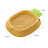 Nueva caja de hierba para gatos, planta hidropónica sin tierra, con forma de piña, semillas de trigo, hierba para gatos, planta en maceta, fábrica al por mayor