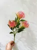Flor de plástico decorativa de rama única con contenido Yang, alfiletero pequeño, adornos para sala de estar, accesorios para fotografía, flores de simulación