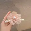 Cuidado Satinado de Gama Alta Nuevo Bolso de Malla Larga Lazo de Gama Alta Oficina Camarero Trabajo Accesorios para el Cabello Al por Mayor