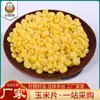 Suministro de Hojuelas de Maíz Cocido Originales para Catering, Granos a Granel, Hojuelas de Maíz Inflado Listas para Comer Desayuno al por Mayor