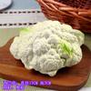 Modelo de frutas y verduras de plástico falsas maíz pepino verde comida muebles de alacena de cocina accesorios de juego de educación temprana