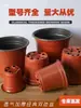 Macetas de Dos Colores, Macetas para Plantar y Plántulas, Recipientes Nutritivos, Macetas de Plástico Grueso Desechables para Jardinería de Plantas Verdes, Macetas para Suculentas para Cultivo