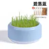Sementes de trigo para grama de gato caixa hidropônica planta em vaso ready-to-eat comprimidos removedores de bolas de pelo petiscos de catnip suprimentos para gatos atacado