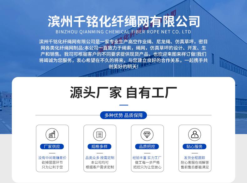 草坪详情切片_01