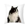 Fronha de Almofada Animal com Estampa de Gato Preto Desenho Animado Capa de Almofada para Casa Dropshipping Transfronteiriço