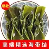 Nudos de Algas Marinas Frescas Saladas, Alga Marina Seca Extra Gruesa, Alga Marina No Seca, Brochetas Picantes para Olla Caliente, Precio Especial al por Mayor