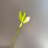 Botões de Flor Clívia Artificial com Textura de PU para Decoração de Casa, Adereços de Foto, Buquês de Mesa de Casamento e Cenários