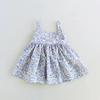 Vestido de Princesa Infantil da Baby Elsa para Meninas Vestido de Criança Vestido Infantil de Alta Qualidade para Meninas Aniversário de Alta Qualidade Princesa Feminina Infantil